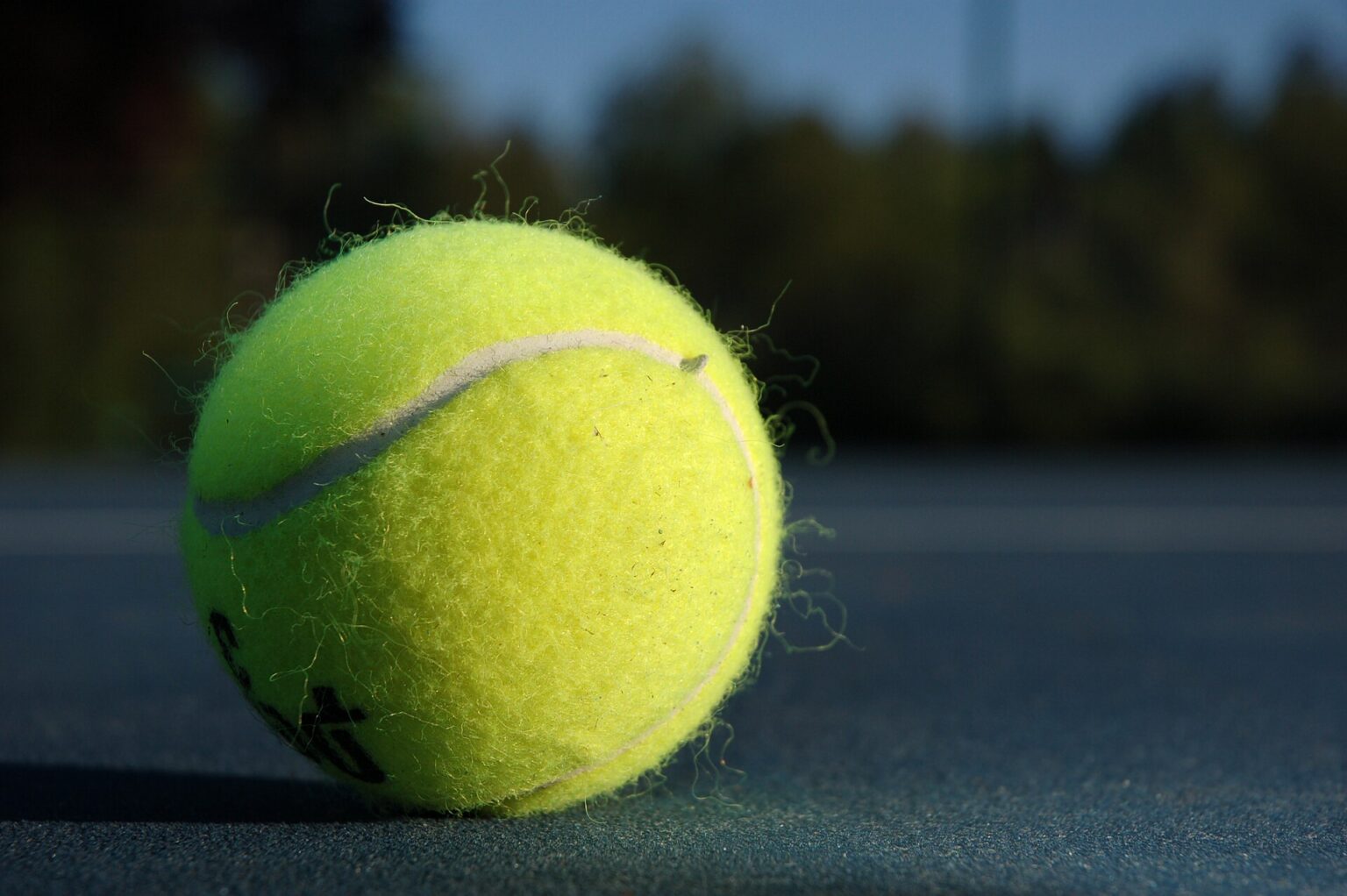 Baseline Tennis